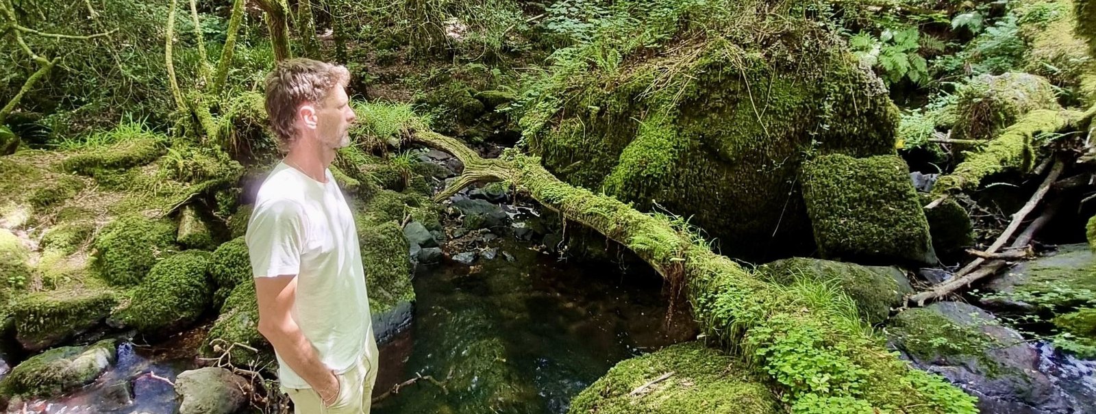 Reflective in Nature